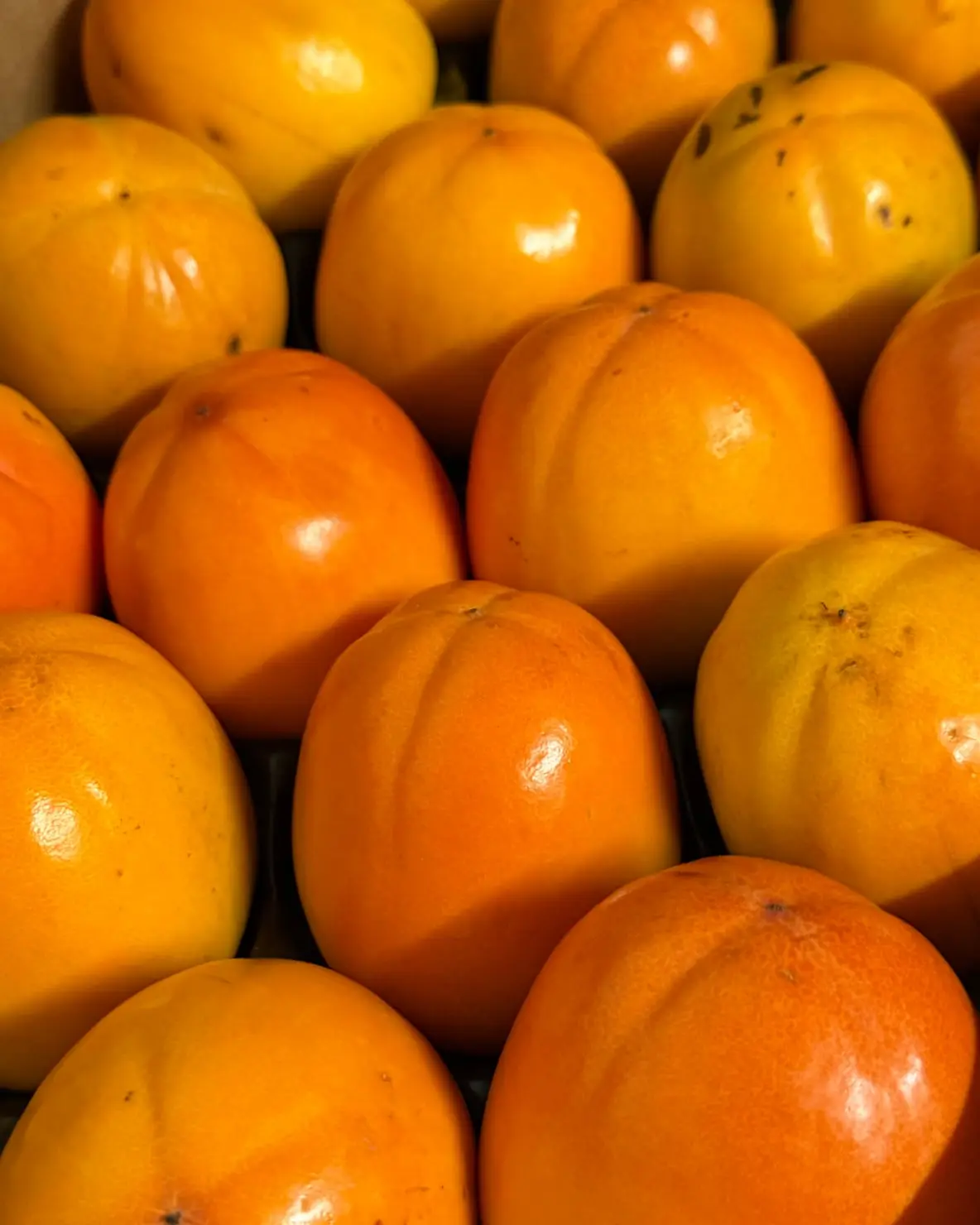 Gros plan sur des fruits orange, visuel réalisé pour TAP Fruits